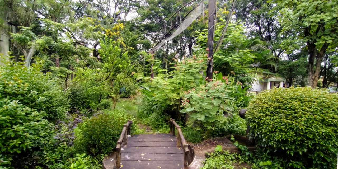 Butterfly Park, Pune Tourist Attraction